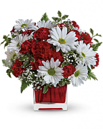 Carnation & Daisy Cube 