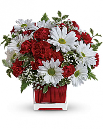 Carnation & Daisy Cube 