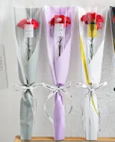 Red Carnation Singles 