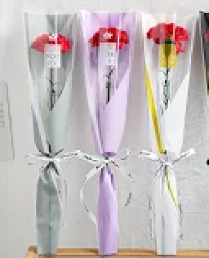 Red Carnation Singles 