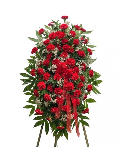 Red Carnation spray sympathy 