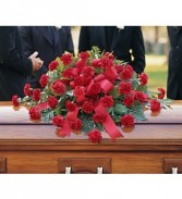 Red Carnation Spray 
