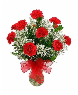 Red Carnations 