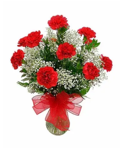 Red Carnations 
