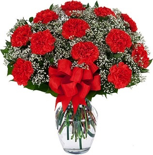 Red Carnations Dozen
