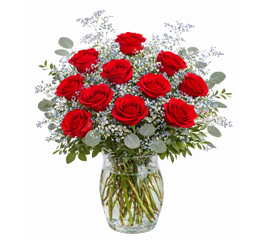 Red Dozen Roses 
