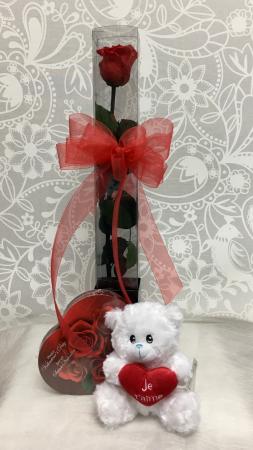 Red Eternal Rose, chocolates & Bear  Eternal Rose 