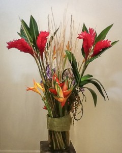 Life Celebration Tropical Zest Sympathy