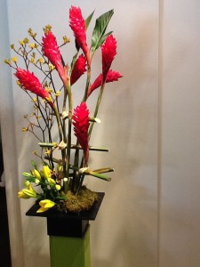 Red Ginger Yellow lilies & Kangaroo Paws va-149