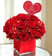 RED HOT &FEBULOUS 