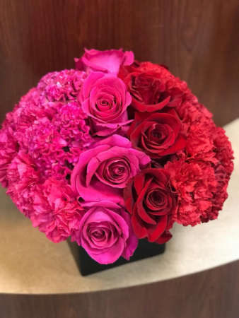 red hot pink blooms 