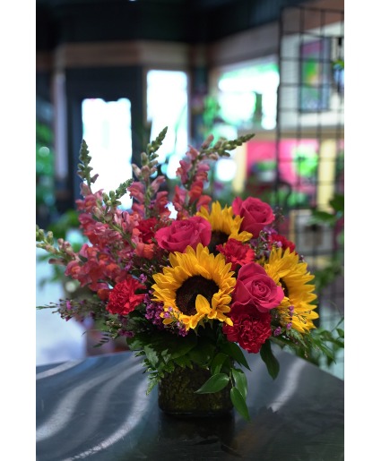Red Hot Summer  Locally Grown Sunflowers 