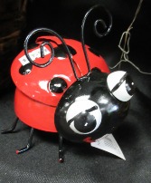 Red Ladybug  