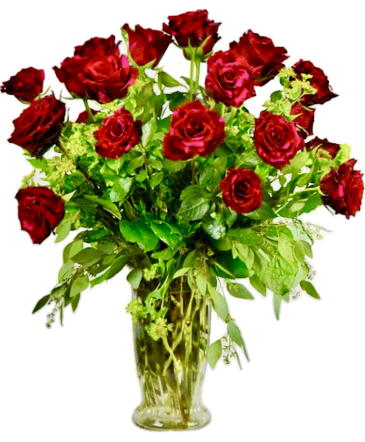 Red Panther Roses Dozen Roses in Queensbury, NY | A LASTING IMPRESSION