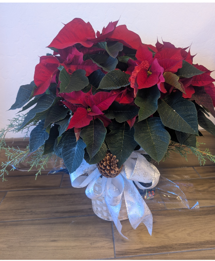 Red poinsettia local mesa gold canyon florist  
