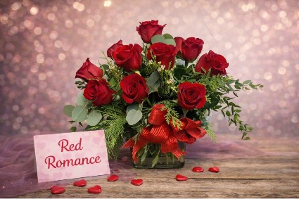Red Romance  Modern Dozen Roses