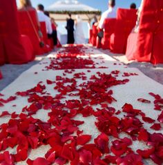Red Romance Wedding 