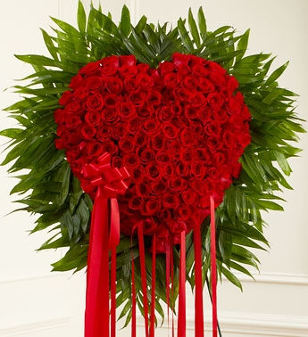 RED ROSE BLEEDING HEART 