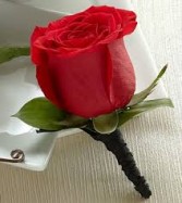 red rose boutineer 