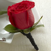 Red Rose Boutonniere Boutonniere