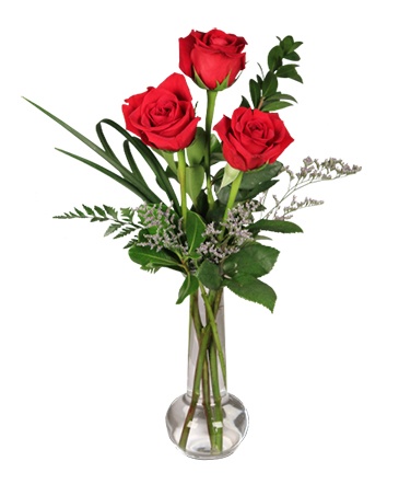 Red Rose Bud Vase 3 Premium Roses in Anderson, SC | NATURE'S CORNER FLORIST