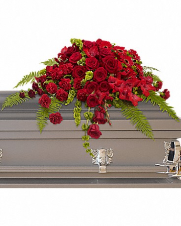 Red Rose Sanctuary T230-3 
