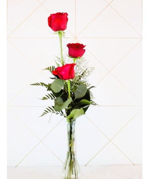 Red Rose Trio 