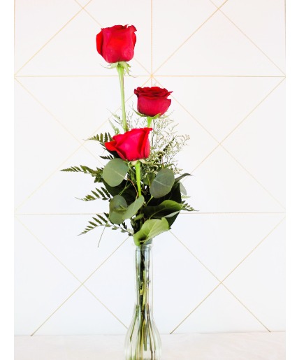 Red Rose Trio 