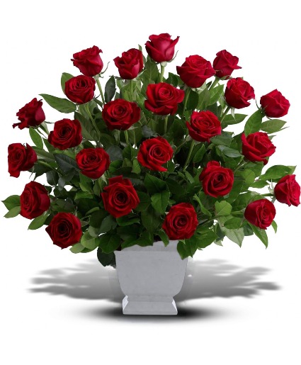 Red Roses  