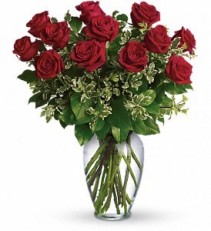 A Dozen Red Roses 