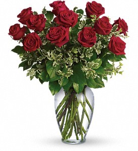 A Dozen Red Roses 