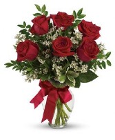 Half Dozen Red Roses 