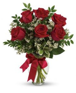 Half Dozen Red Roses 