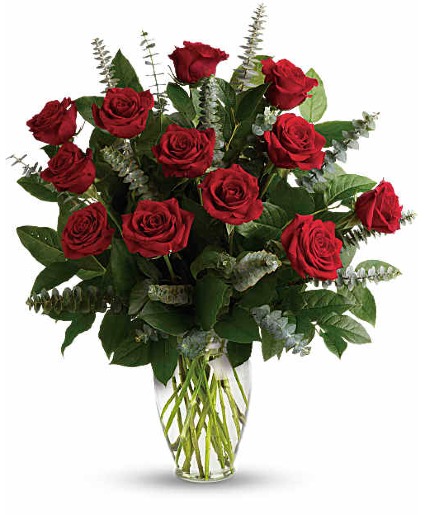 Red Roses 