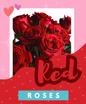 Red Roses Fresh Vase Arrangement