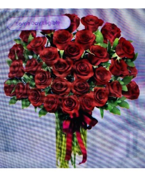 Red roses phenomenal  