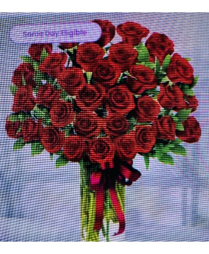 Red roses phenomenal  