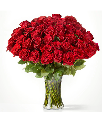 50 Red Roses Rose Arrangement