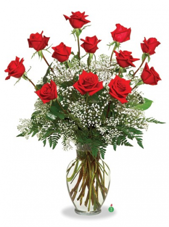   Red Roses Say "I Love You" 12, 18, 24 Roses With Foliage and Gypsophila,  in Gainesville, FL | PRANGE'S FLORIST- Sara & Lilli V