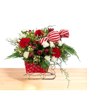 Peppermint Candy Ride  Sleigh Arrangement