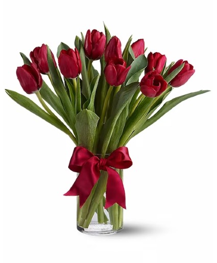 Red Tulips 