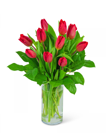 Red Tulips Flower Arrangement