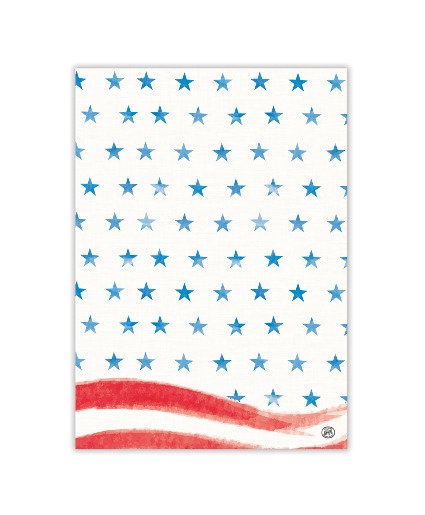 Red, White & Blue Kitchen Towel  