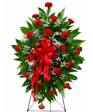 Precious Memories – Red Spray