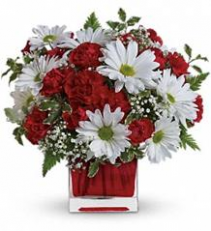 Cube - Red & White Delight Arrangement in cube