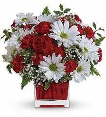 Cube - Red & White Delight Arrangement in cube