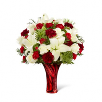 Red & White Delight winter