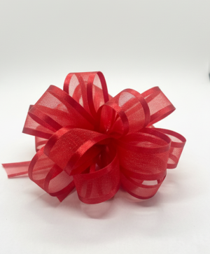 Red Wrist Corsage 