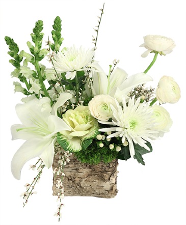 Refreshing Creams Floral Design  in Albany, NY | Ambiance Florals & Events