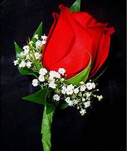 Regal Red 